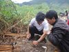 Săn chuột rừng ở Kon Pne, toàn con khủng, có con nặng 1 ký