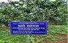 Huyện Kbang triển khai thực hiện Đề án phát triển sản xuất rau, hoa...